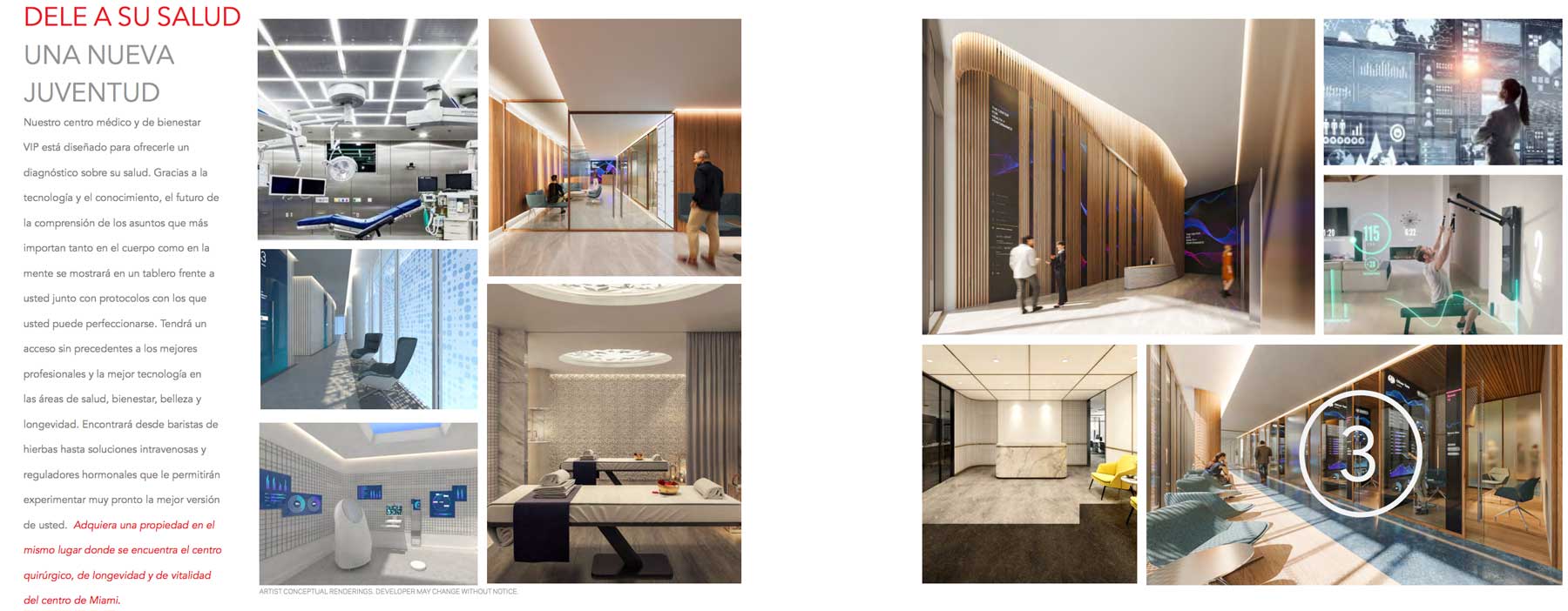 Legacy Miami