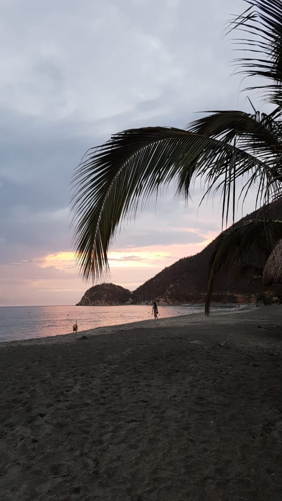 Venta Apartamento Cabo Tortuga Santa Marta