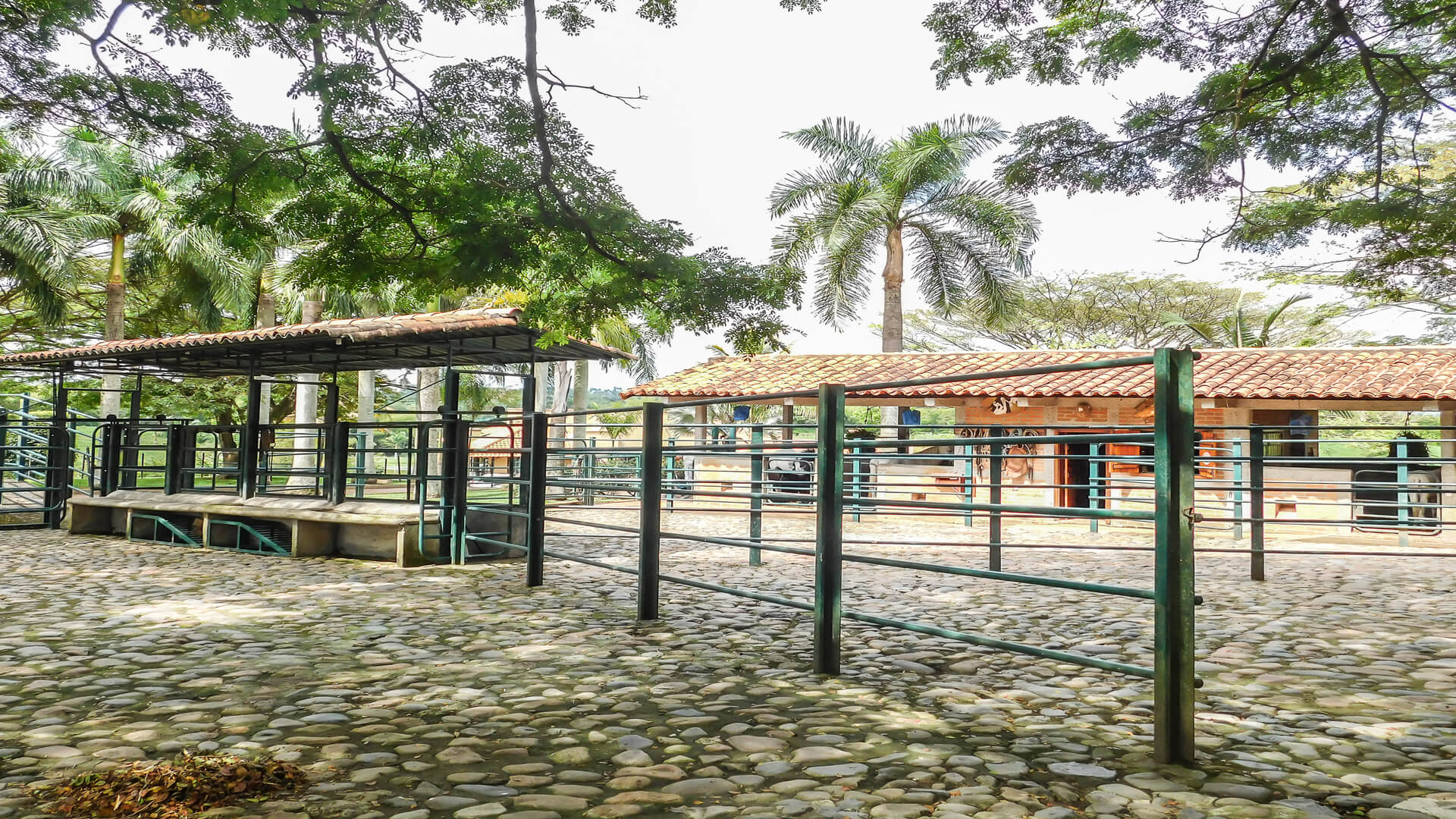 Casa en Venta Malabar